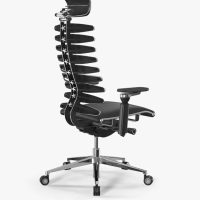 Ergolux spine s1 1 Ergolux spine s1 1