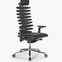 Ergolux spine s1 Ergolux spine s1
